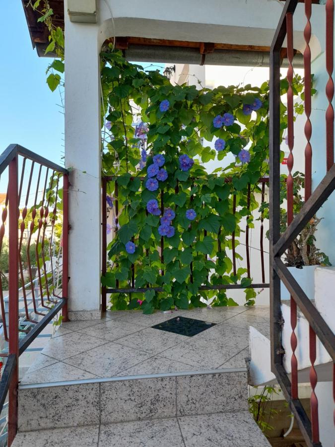 Eleni Apartment Тиват Екстериор снимка